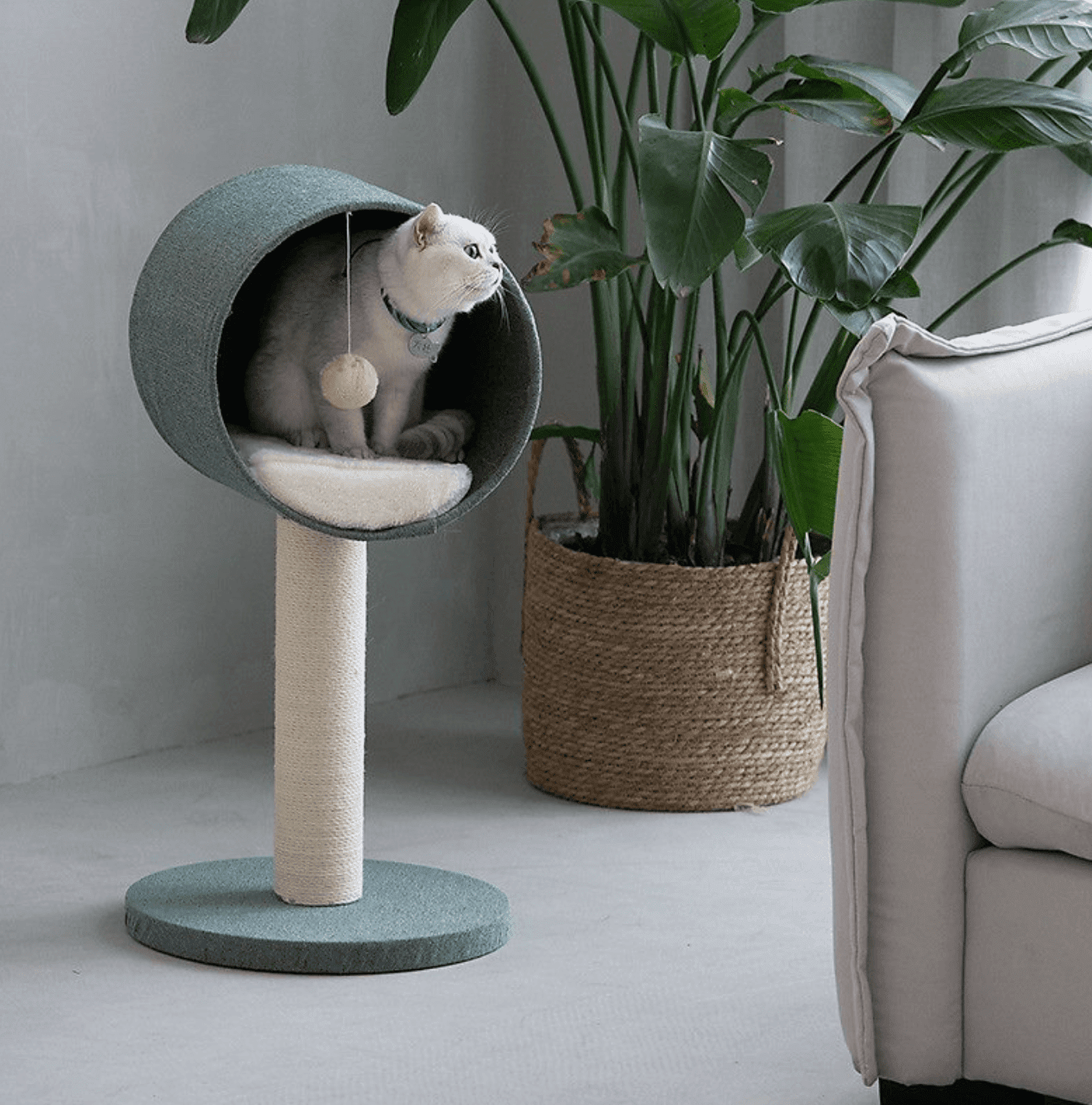 Lovely Caves Minimalist Style Cat TreeÂ