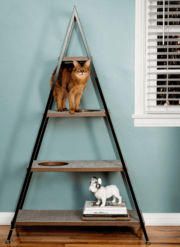 Cat Pyramid