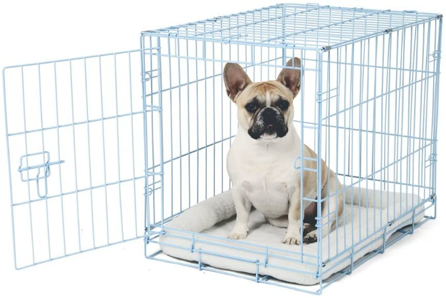 Carlson Blue Secure Crate