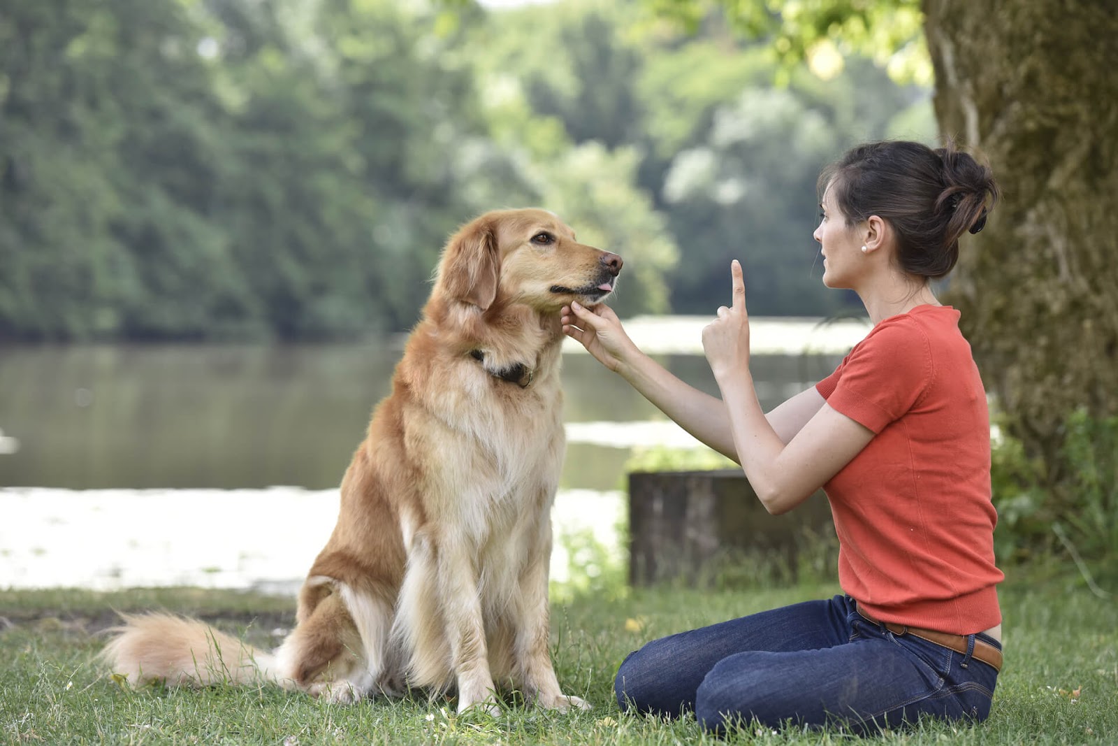 Woman training dog in park