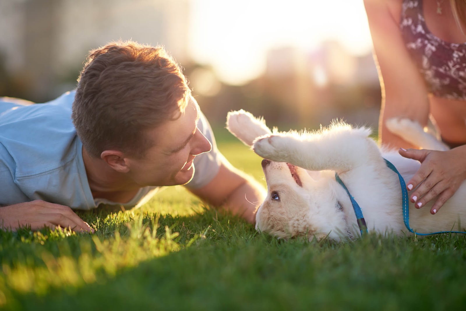 Man and woman playing with puppy in a field