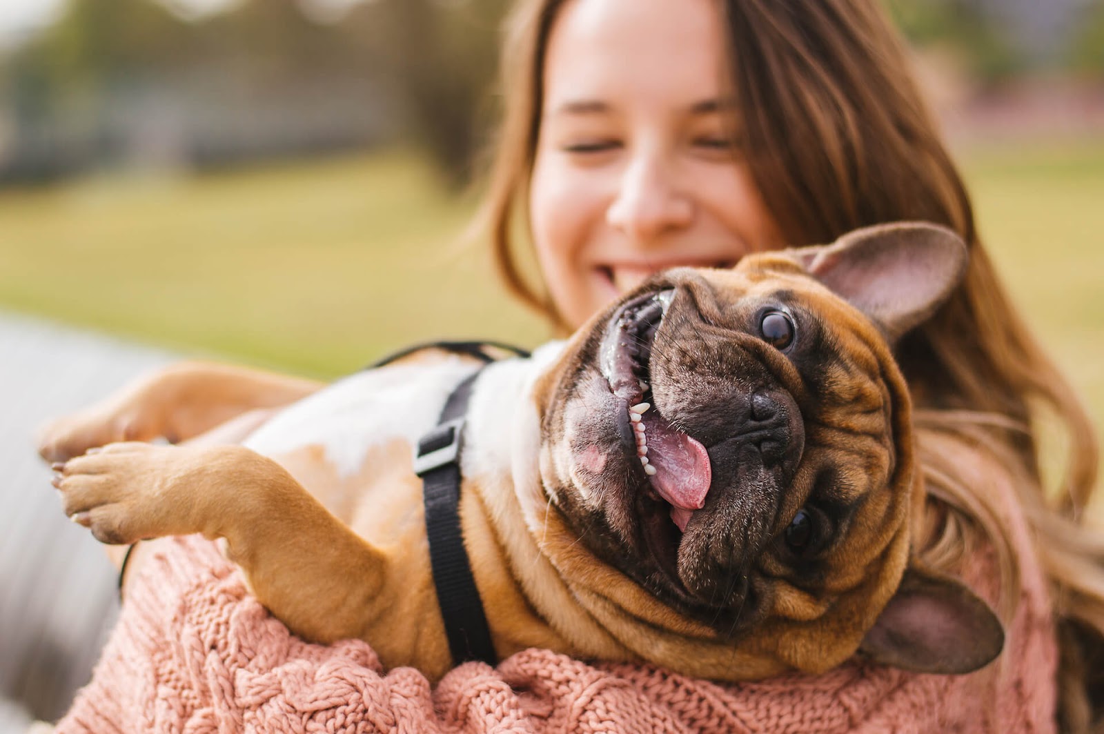 happy dog being held by a happy woman