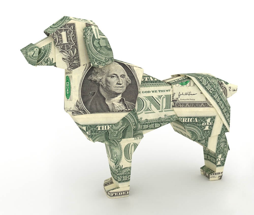 Dollar Origami