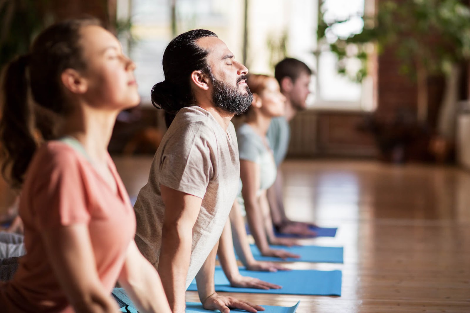 Group of people doing upward dog on their mats