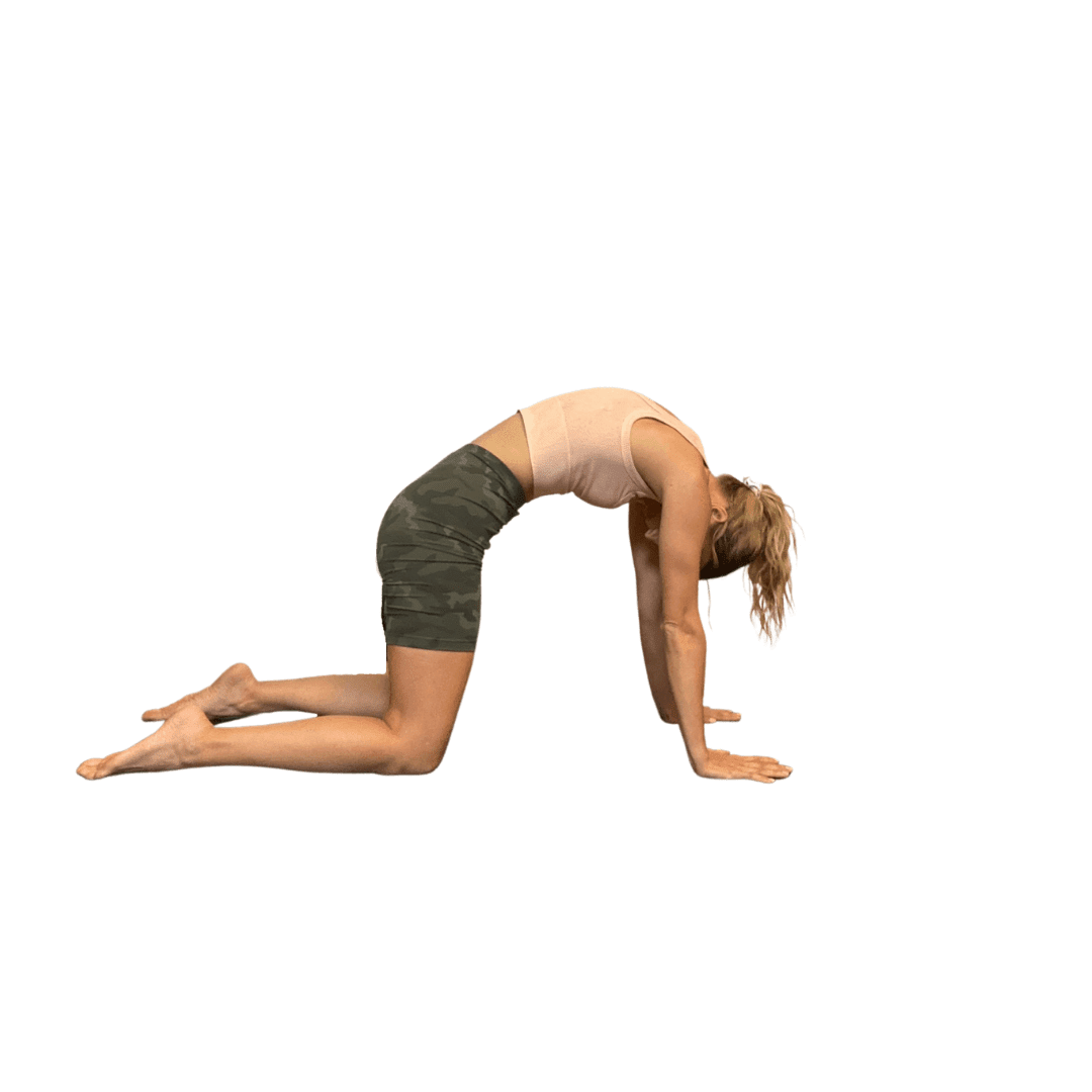 Woman in cow position