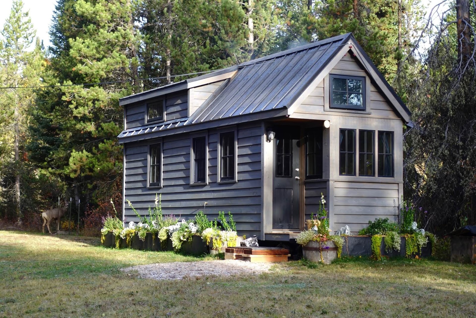 Tiny house in the woods