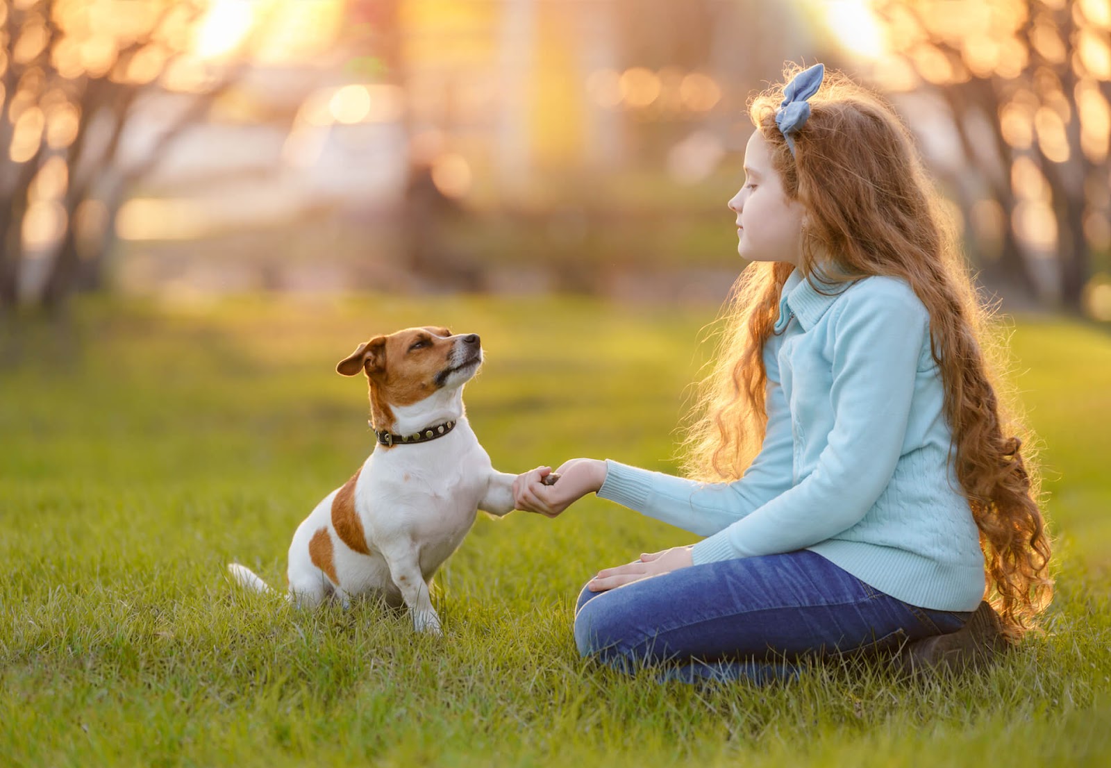 Girl playing with her small dog in a park