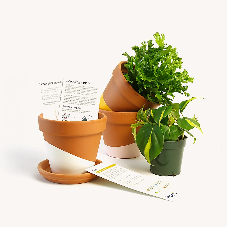 Horti