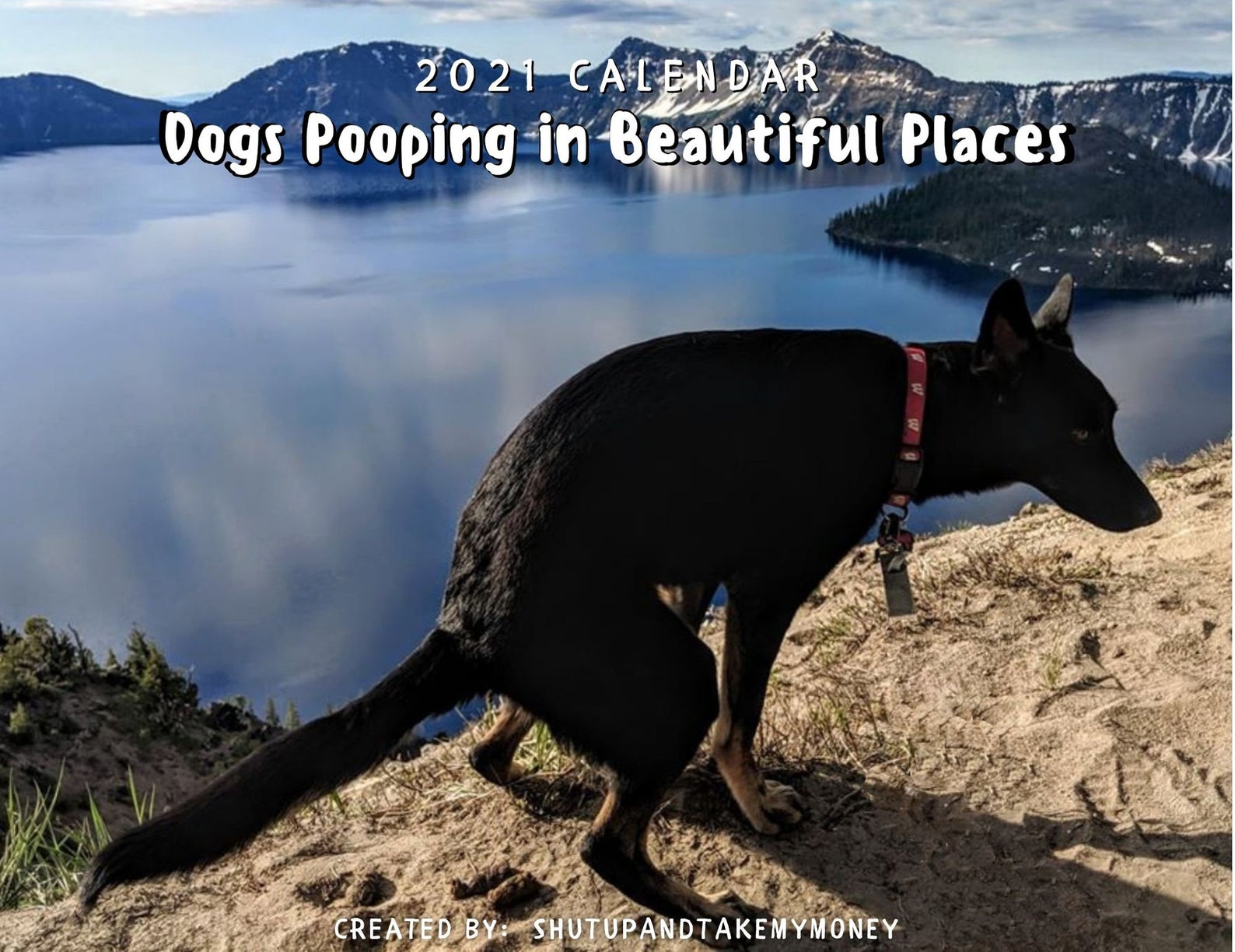 Pooping Pooches Calendar