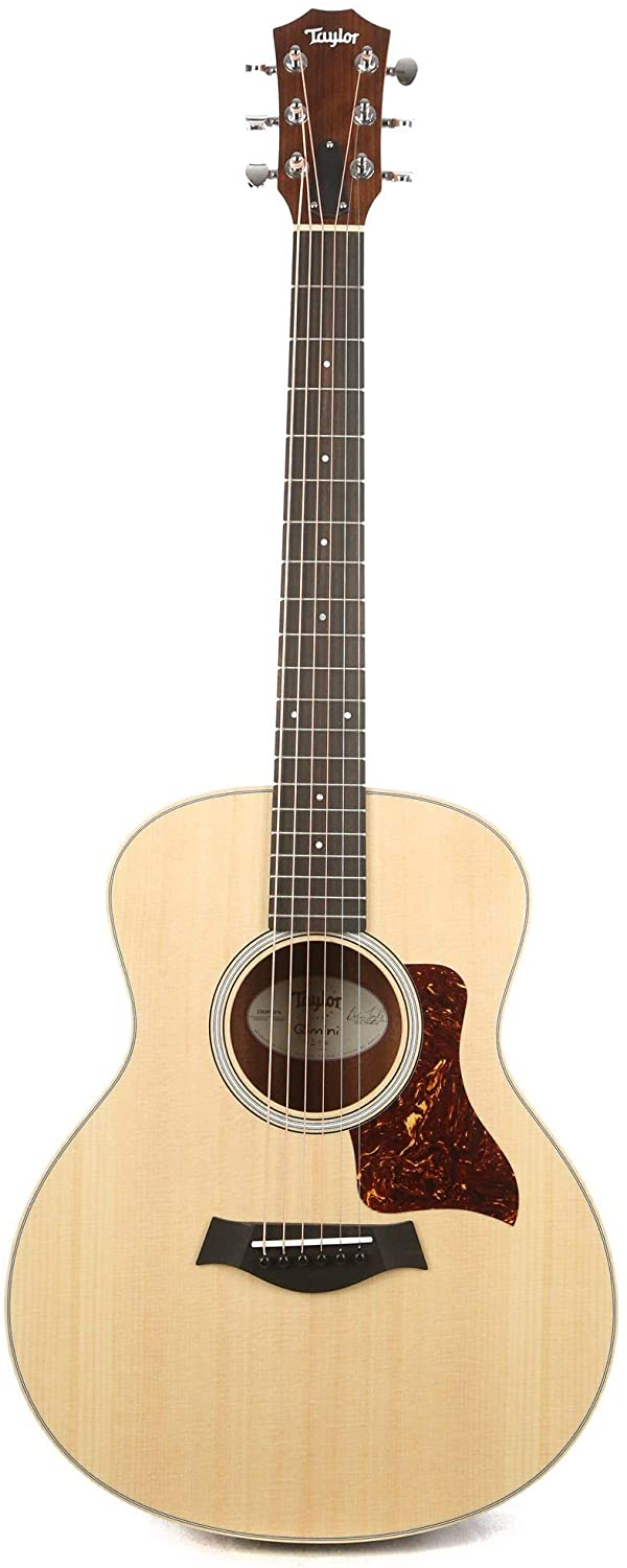 Taylor GS Mini
