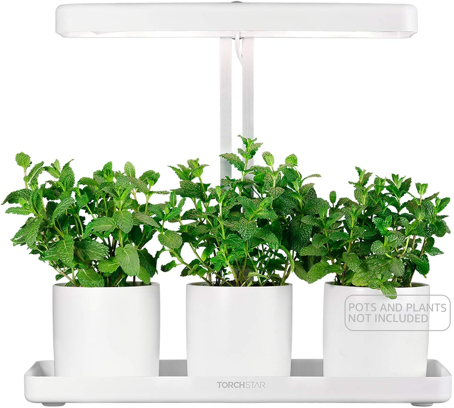 Torchstar Indoor Garden Kit