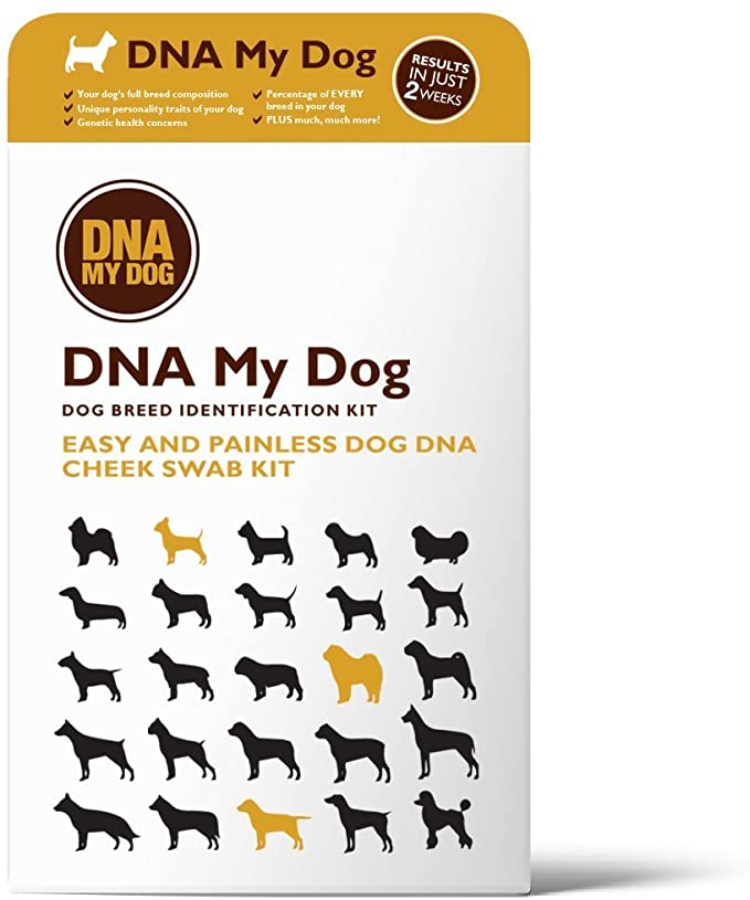 Dog DNA Test