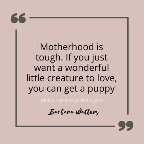 Motherhood is tough. If you just want a wonderful little creature to love, you can get a puppy.Â