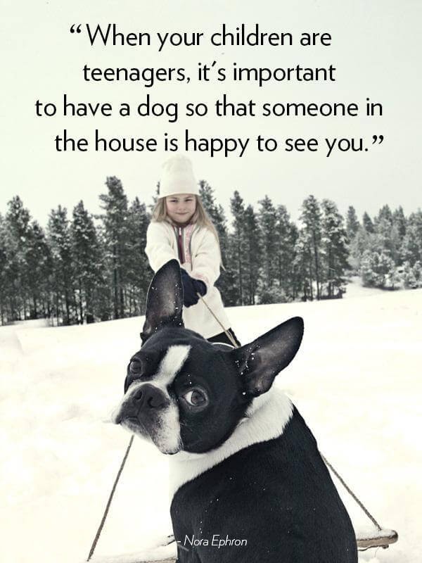 When your children are teenagers, itâs important to have a dog so that someone in the house is happy to see you.