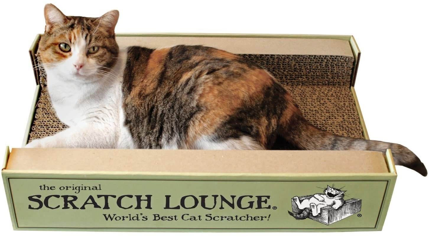 The Scratch Lounge