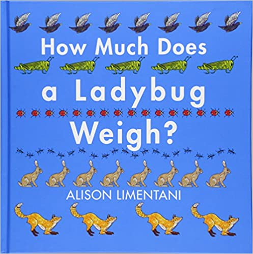 How Much Does a Ladybug Weigh