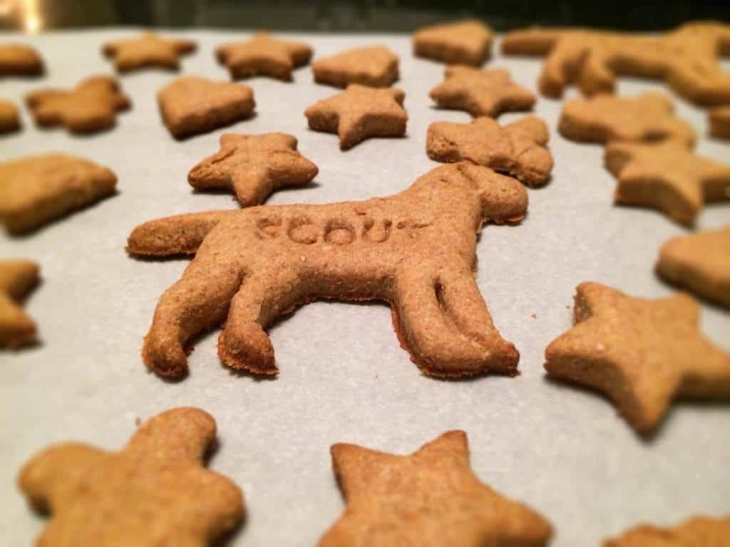 Peanut Butter Dog Treats