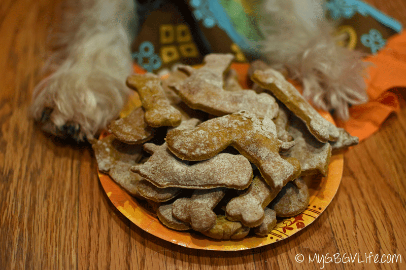 Dog pumpkin cookies