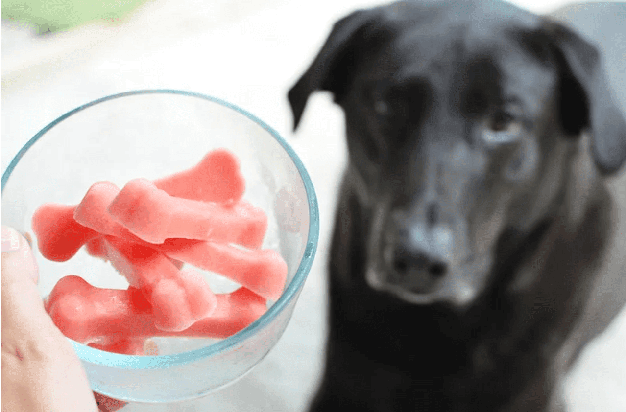 Frozen Watermelon Popsicles