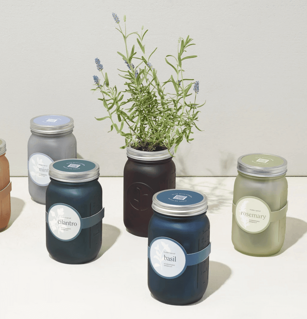 Garden Jar Herb Growing Kit