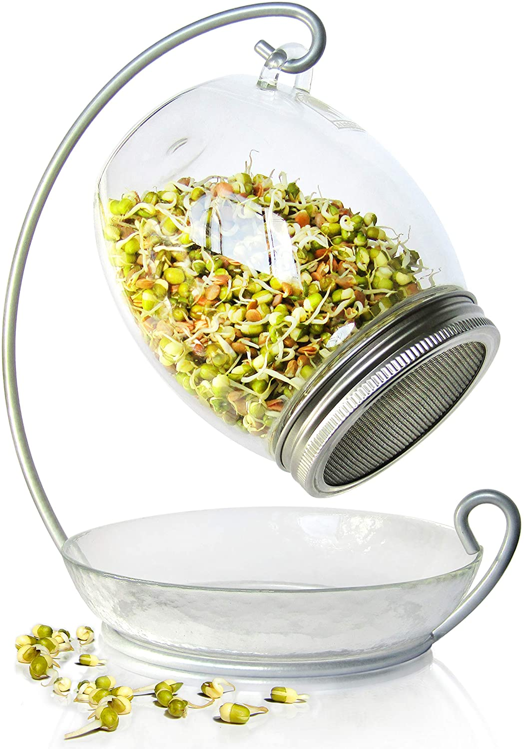 Countertop Seed Sprouter