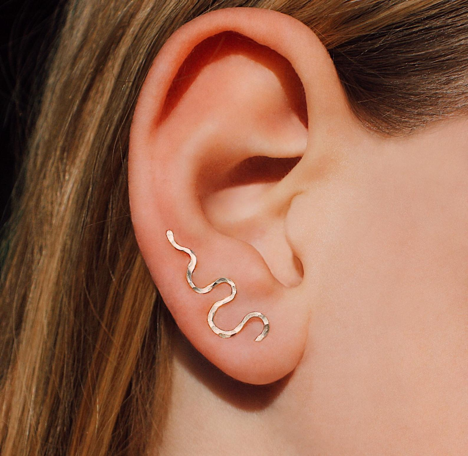 Crawler Earring