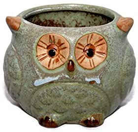Green Chubby Owl flower pot