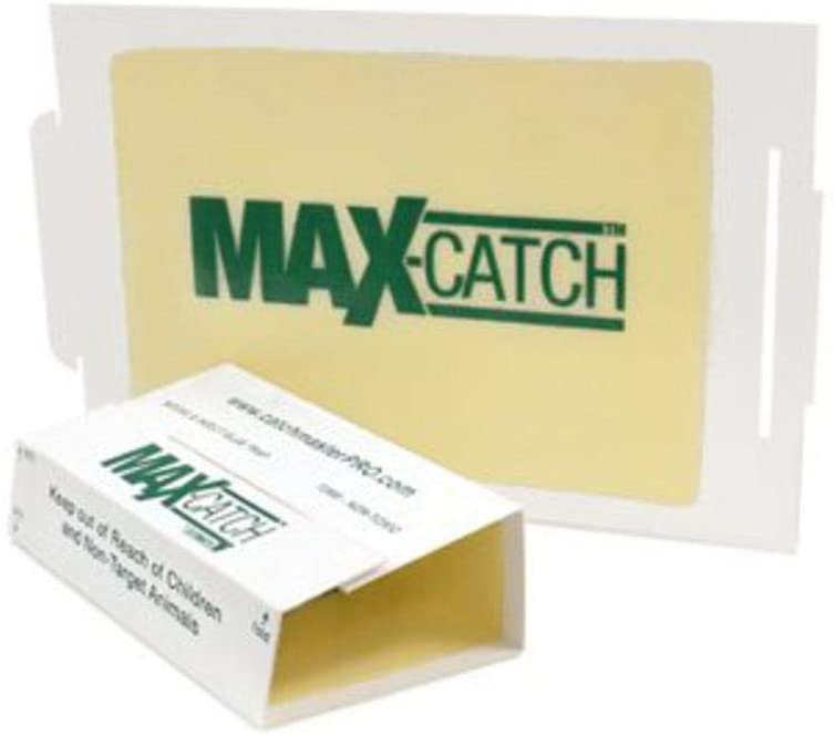 Roach Trap