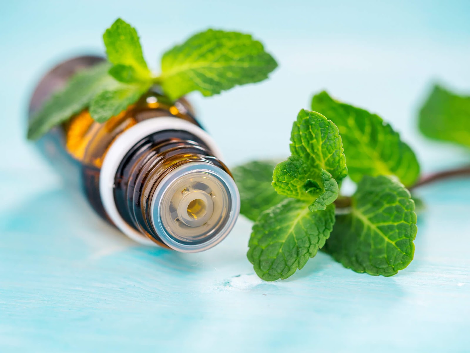 Essential Oil bottle with mint around it