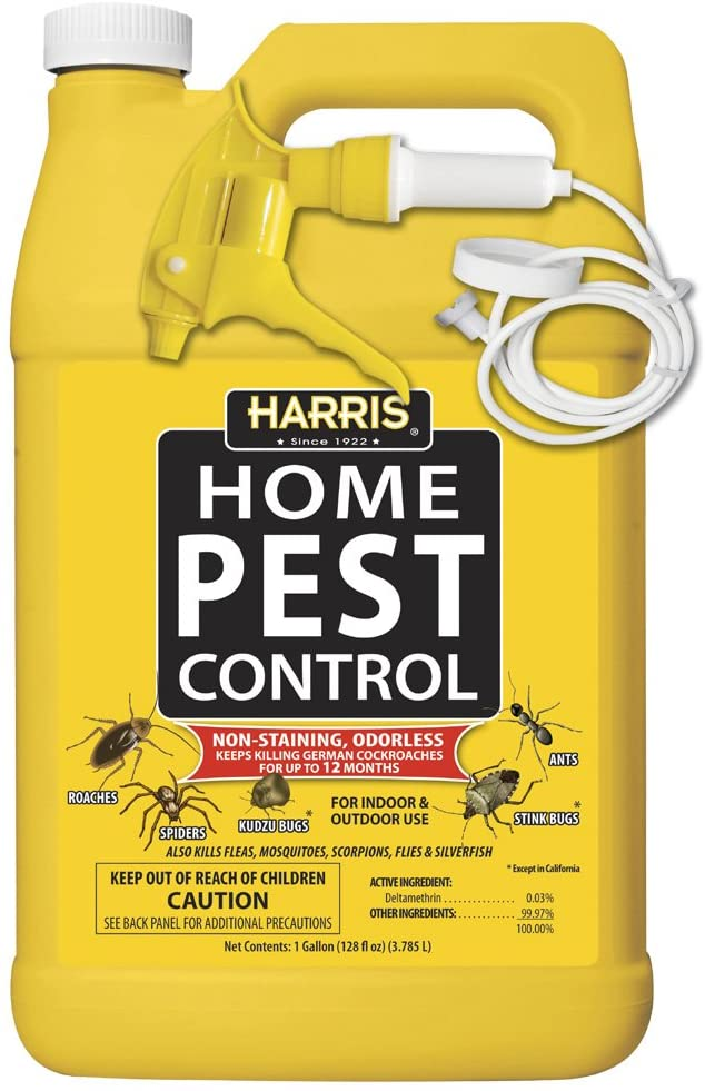 Concentrated Insecticide