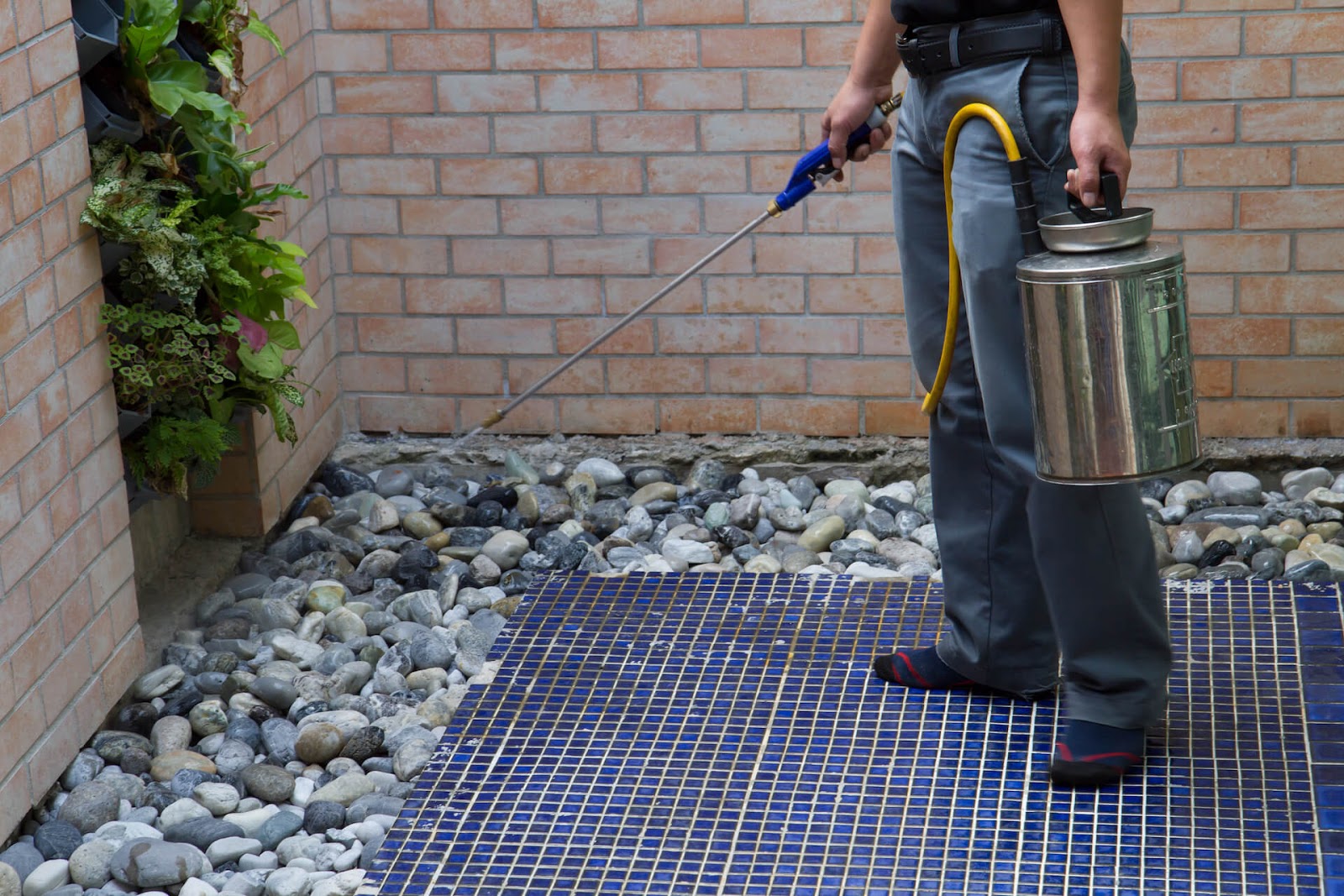 Man spraying insecticide around a building