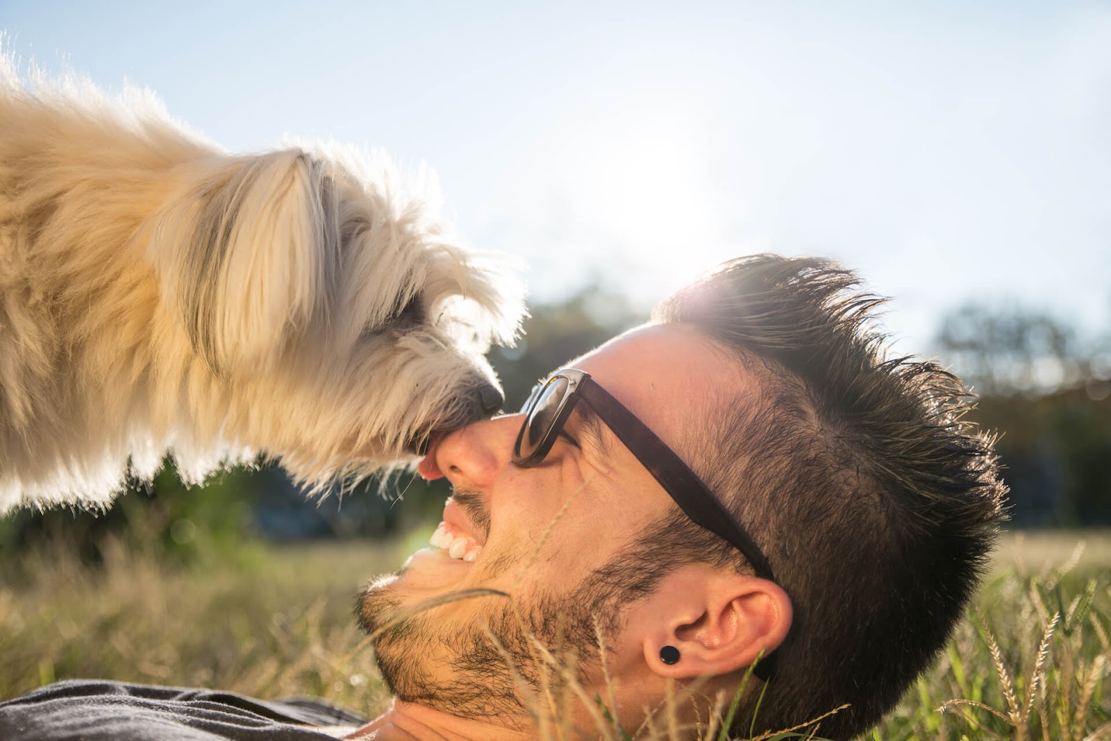 Man getting dog kisses while lying on the grass