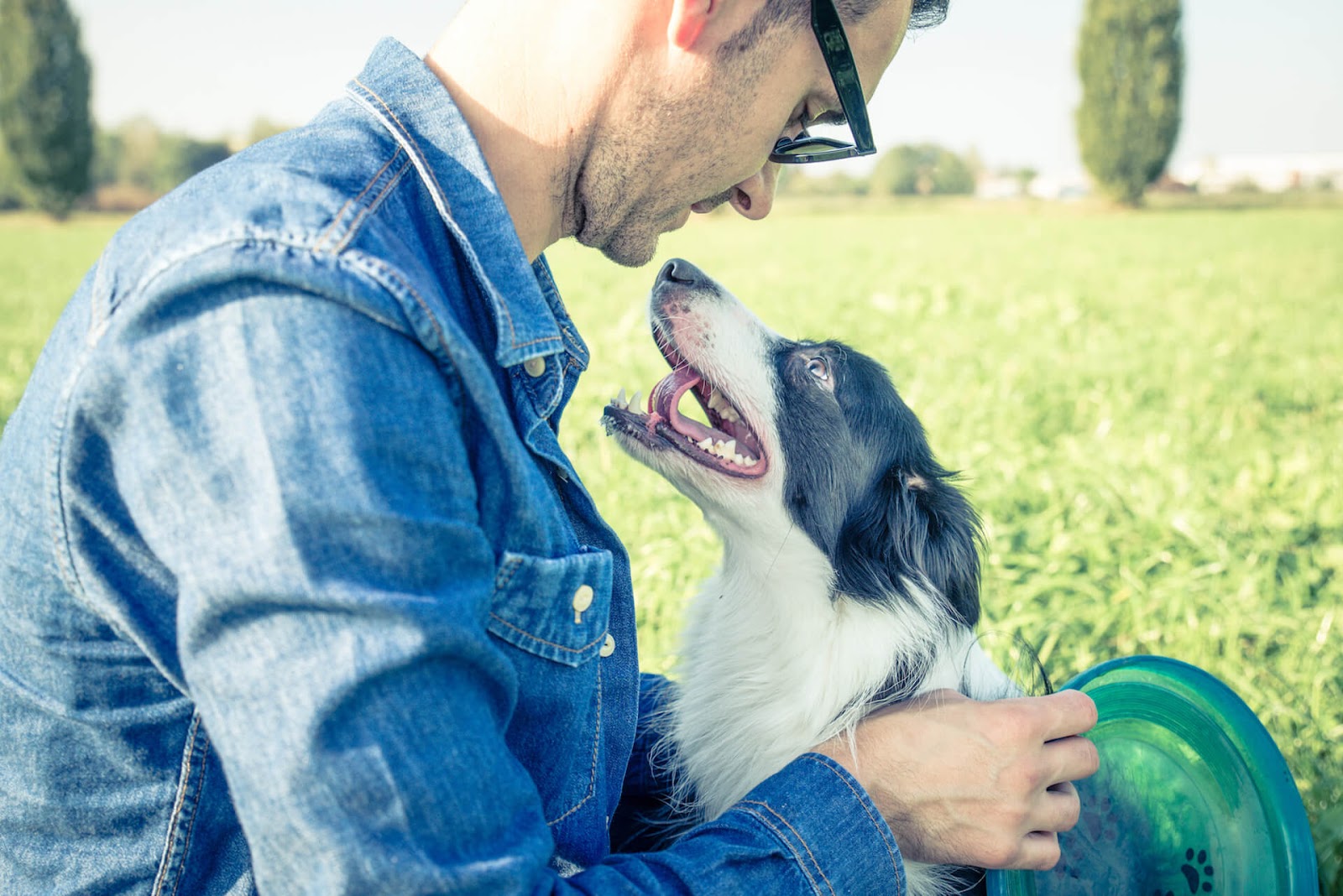Man and enjoying dog outside