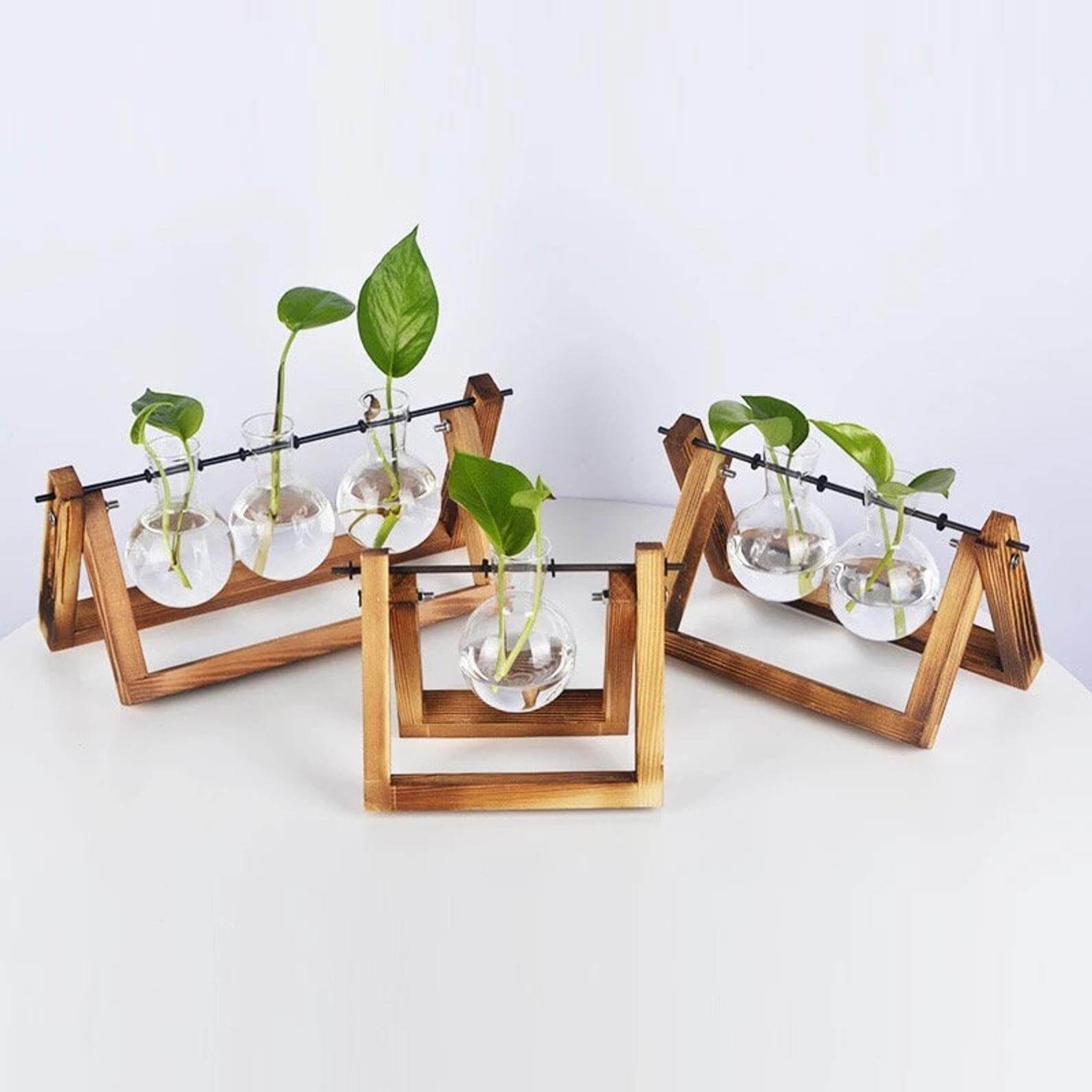 Propagation Station