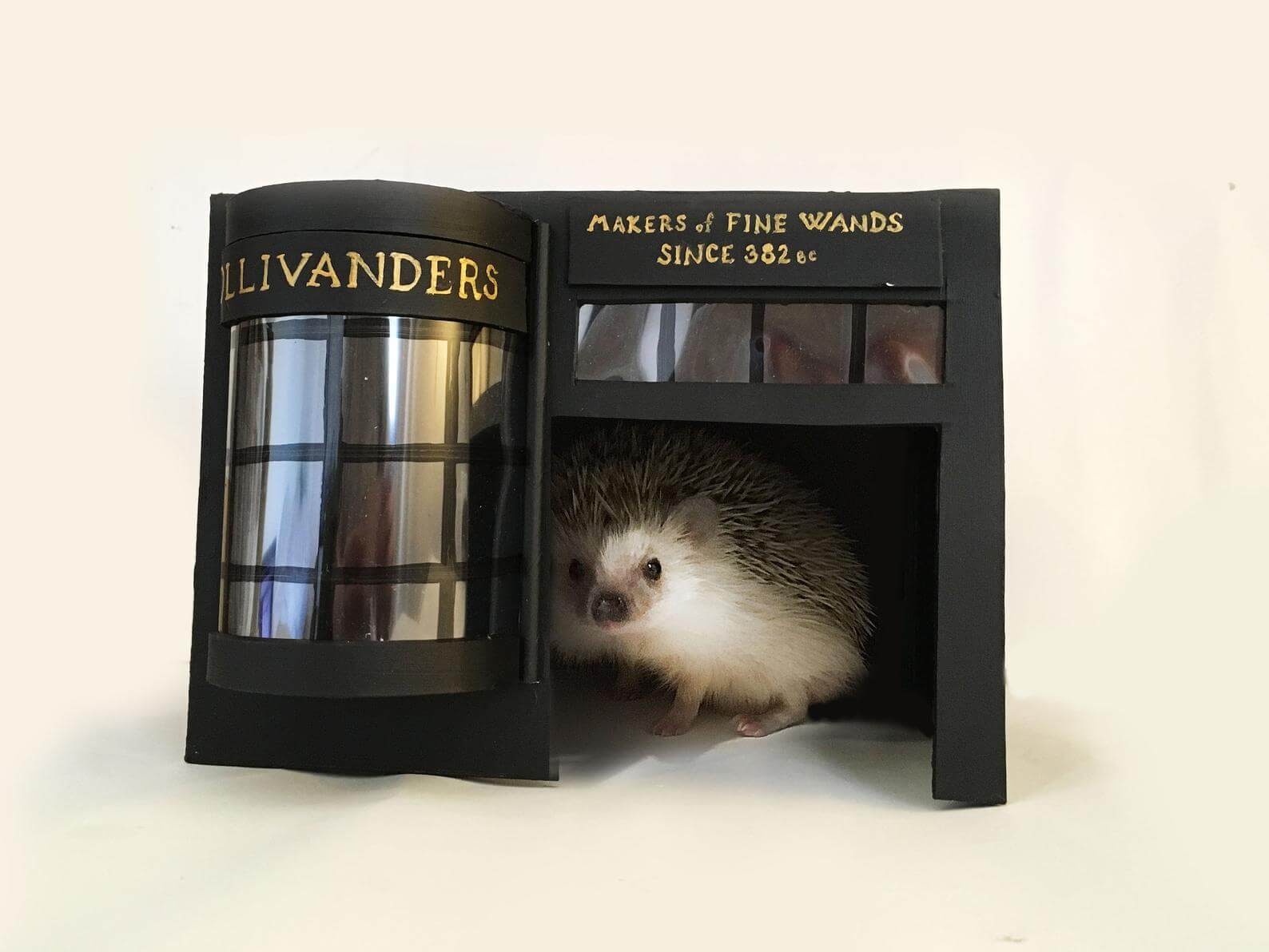 Hedgehog in homemade Ollivanders Fine Wands home