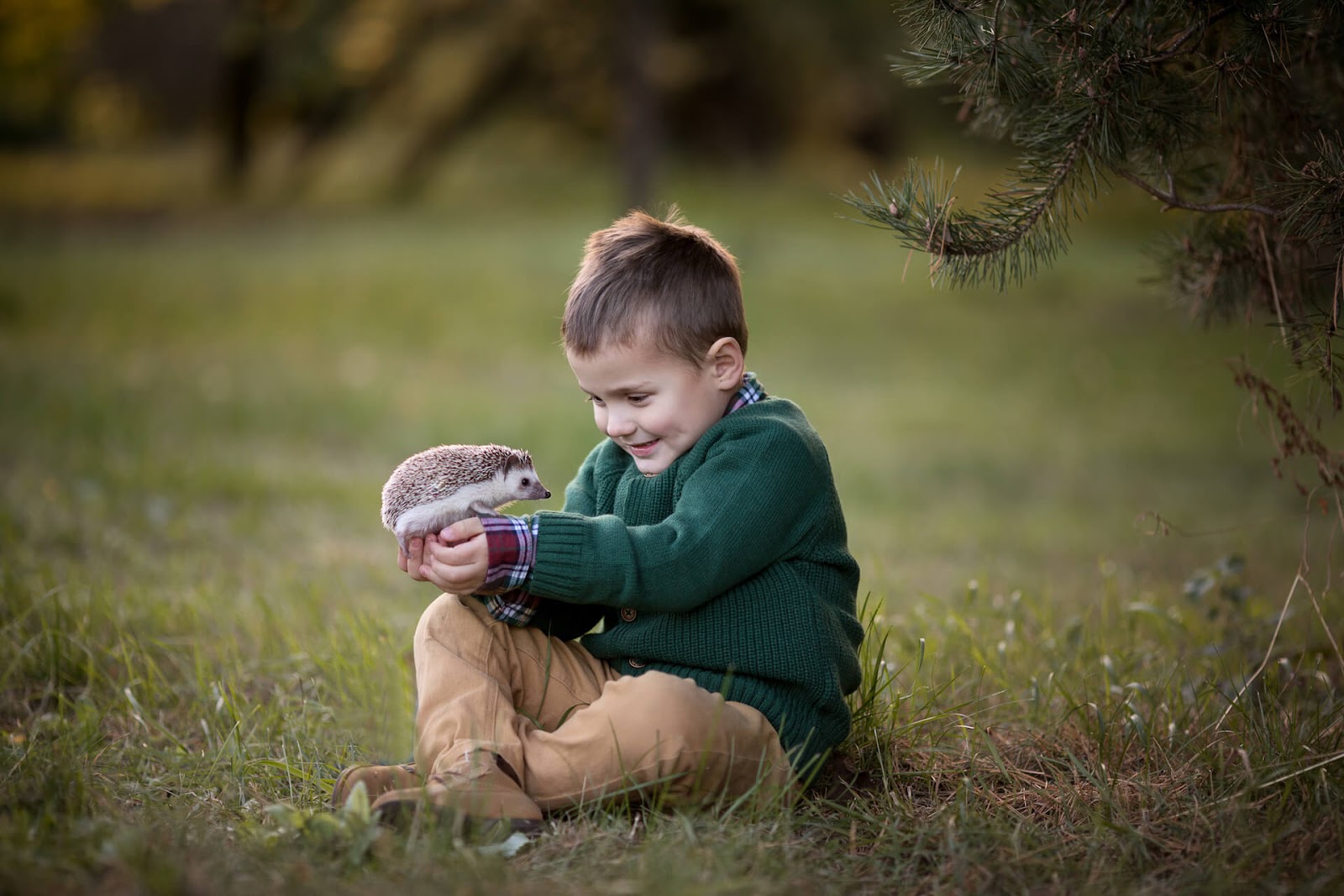Little boy holding a hedgehog outside