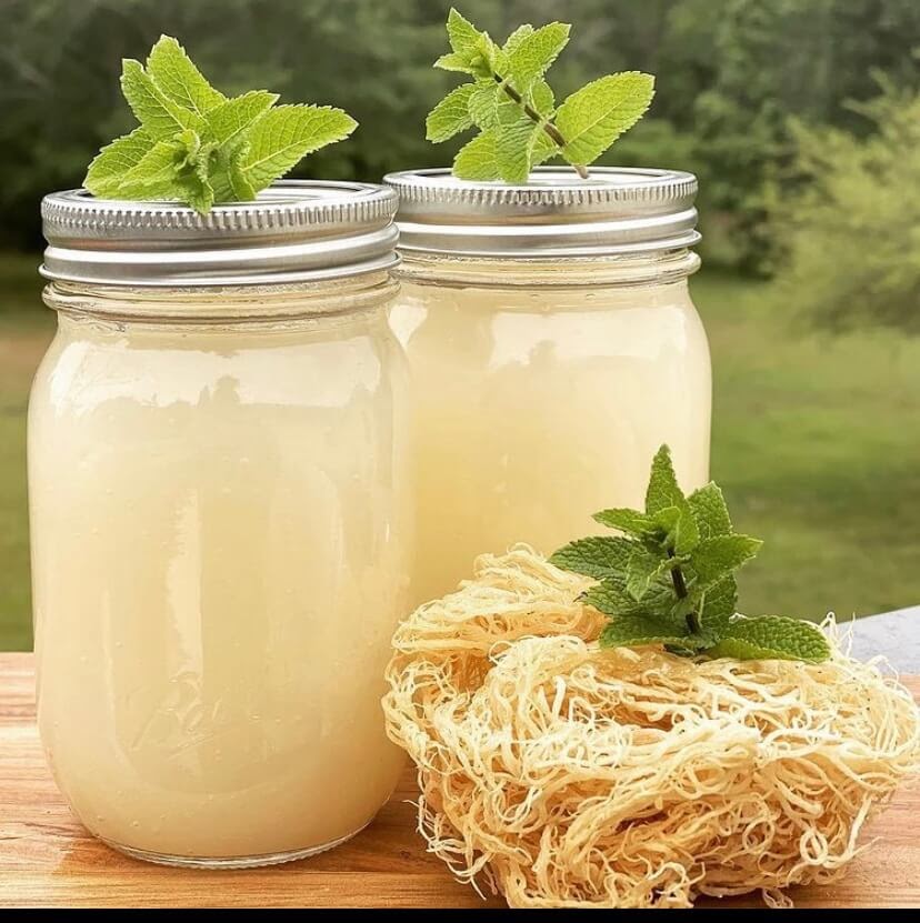 Sea Moss in a Mason Jar by Rah Rah Caters
