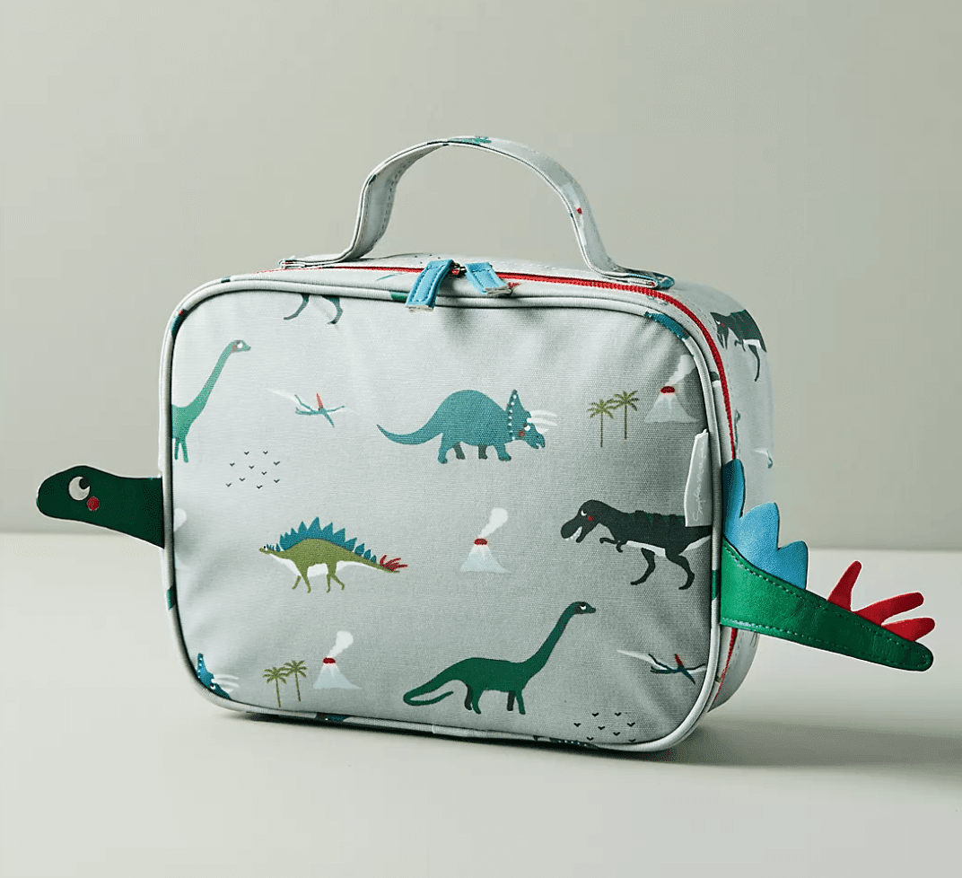 Dinosaur Lunch Box