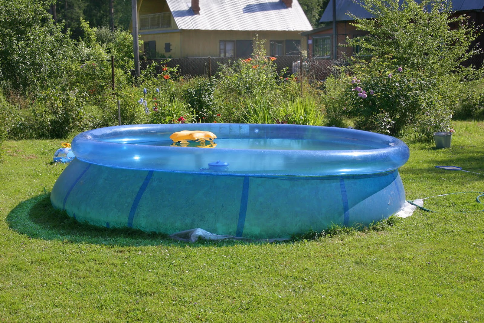 Family size inflatable pool in a big backyard