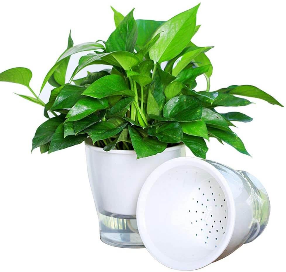 White, plastic pots with a plant in it