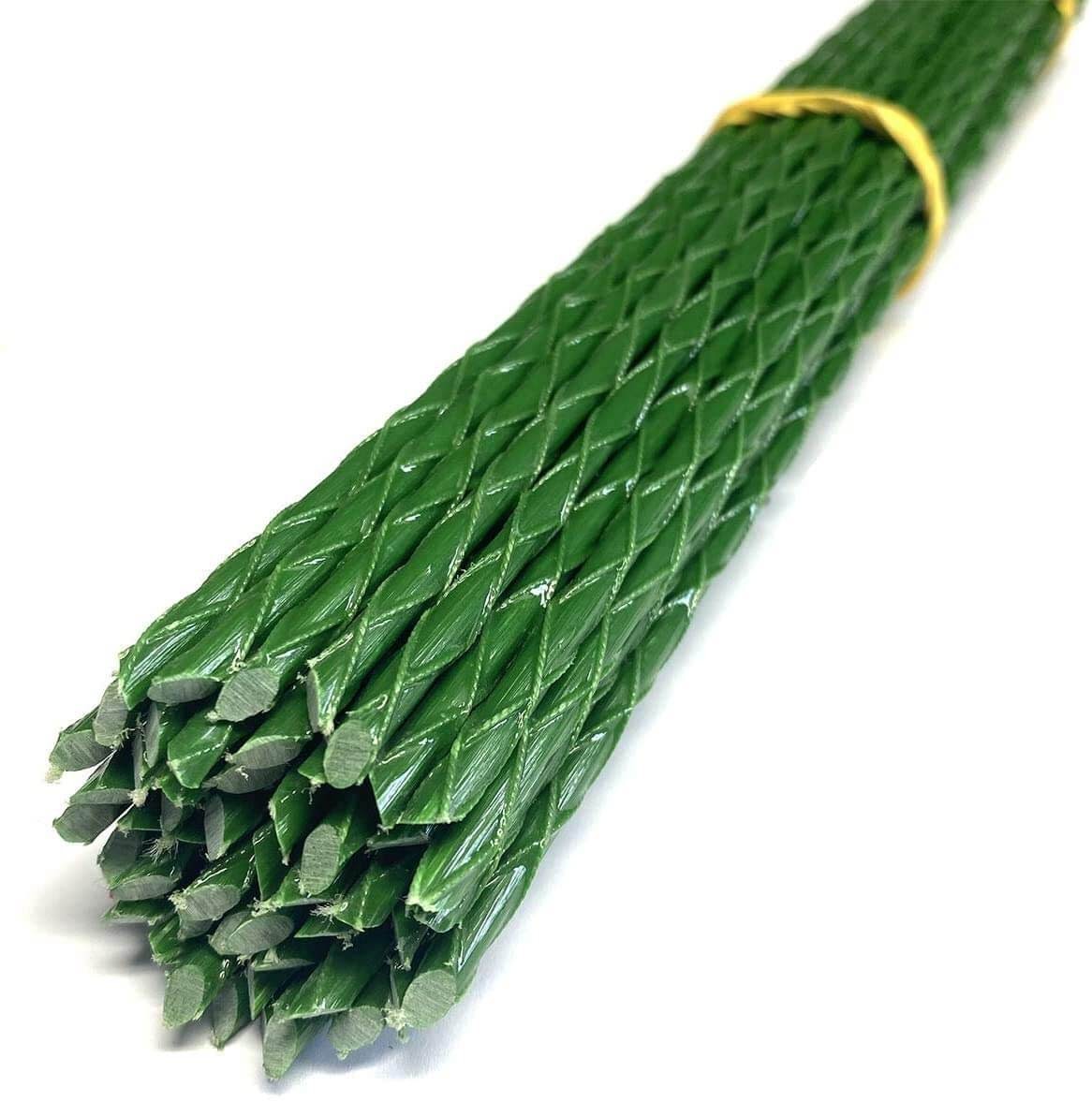 Plant Stakes