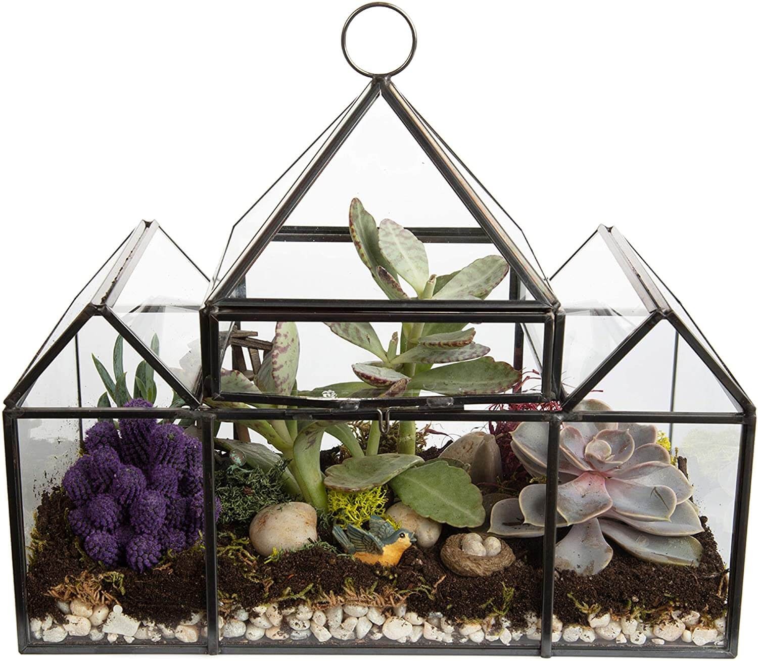 Terrarium with succulents in it