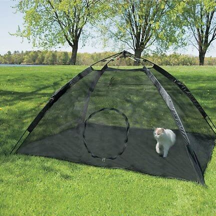 Outback Jack Happy Habit Tent