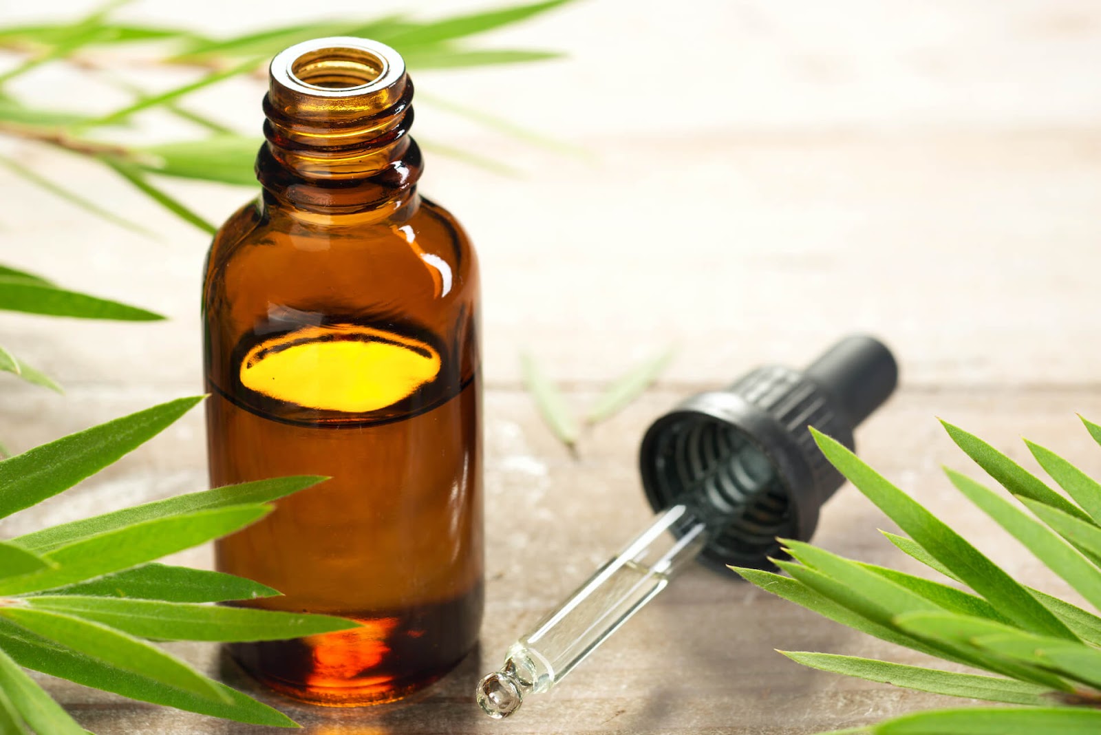 Bottle of tea tree oil with dropper