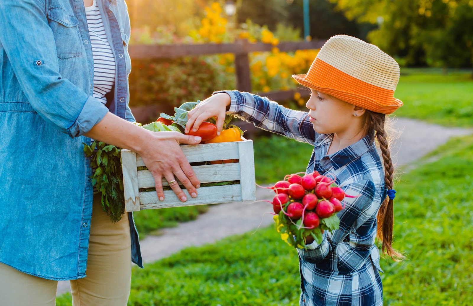 Girl picking farm fresh veggies