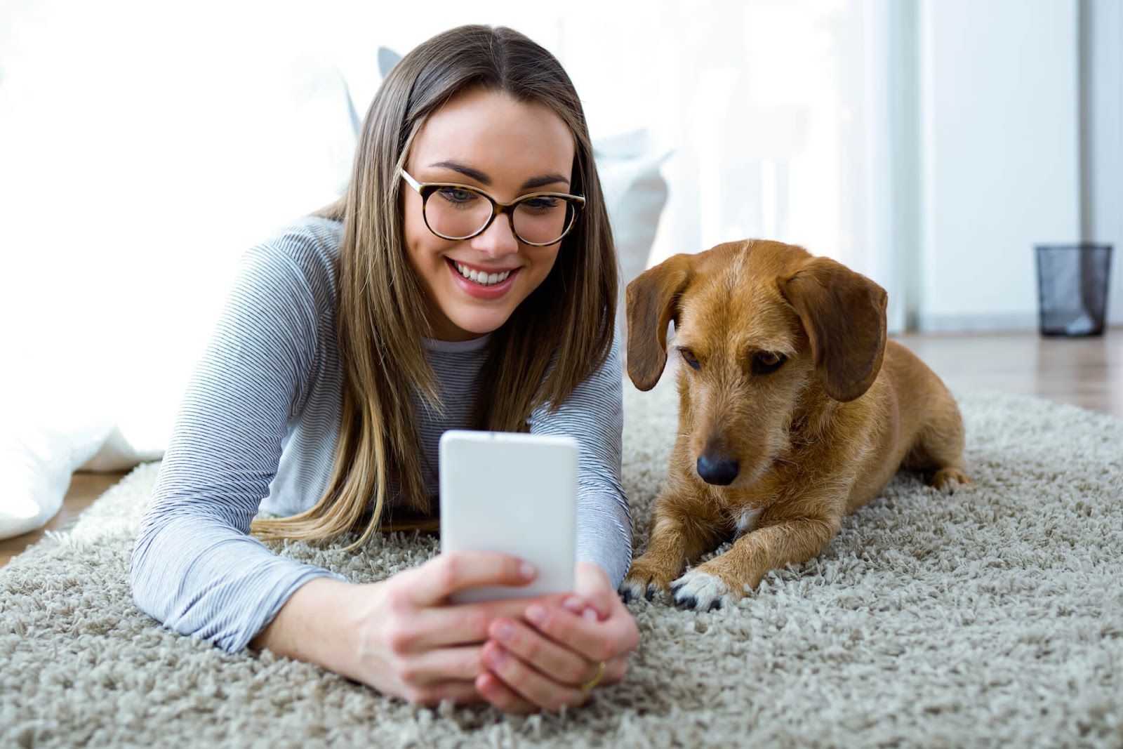 Woman and dog looking at owners with her phone