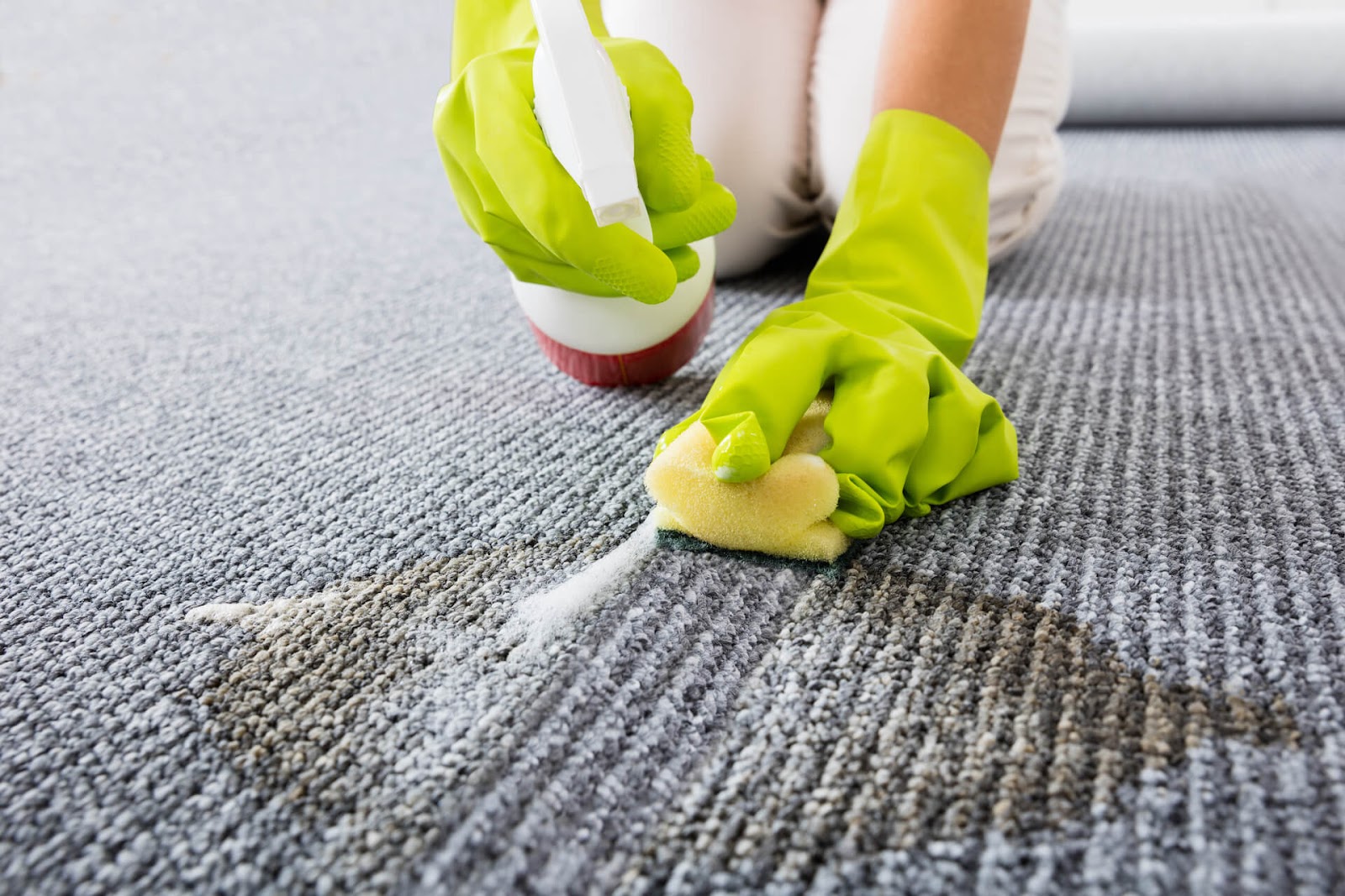 Close up of hands scrubbing cat pee out of the carpet