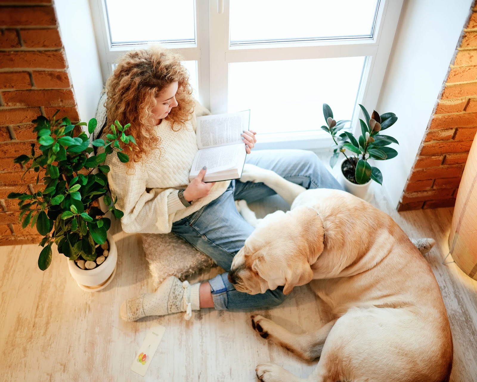 Woman reading with her dog on her lap