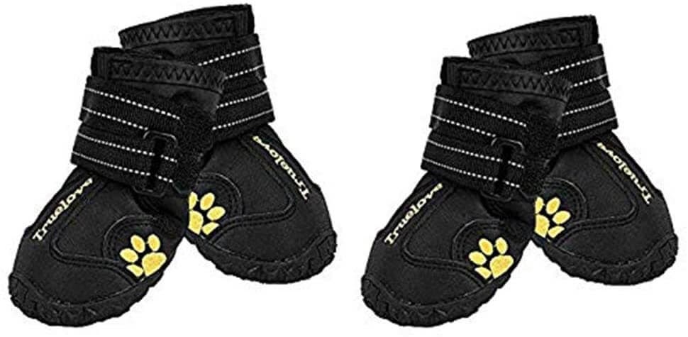 Expawlorrer Dog Boots