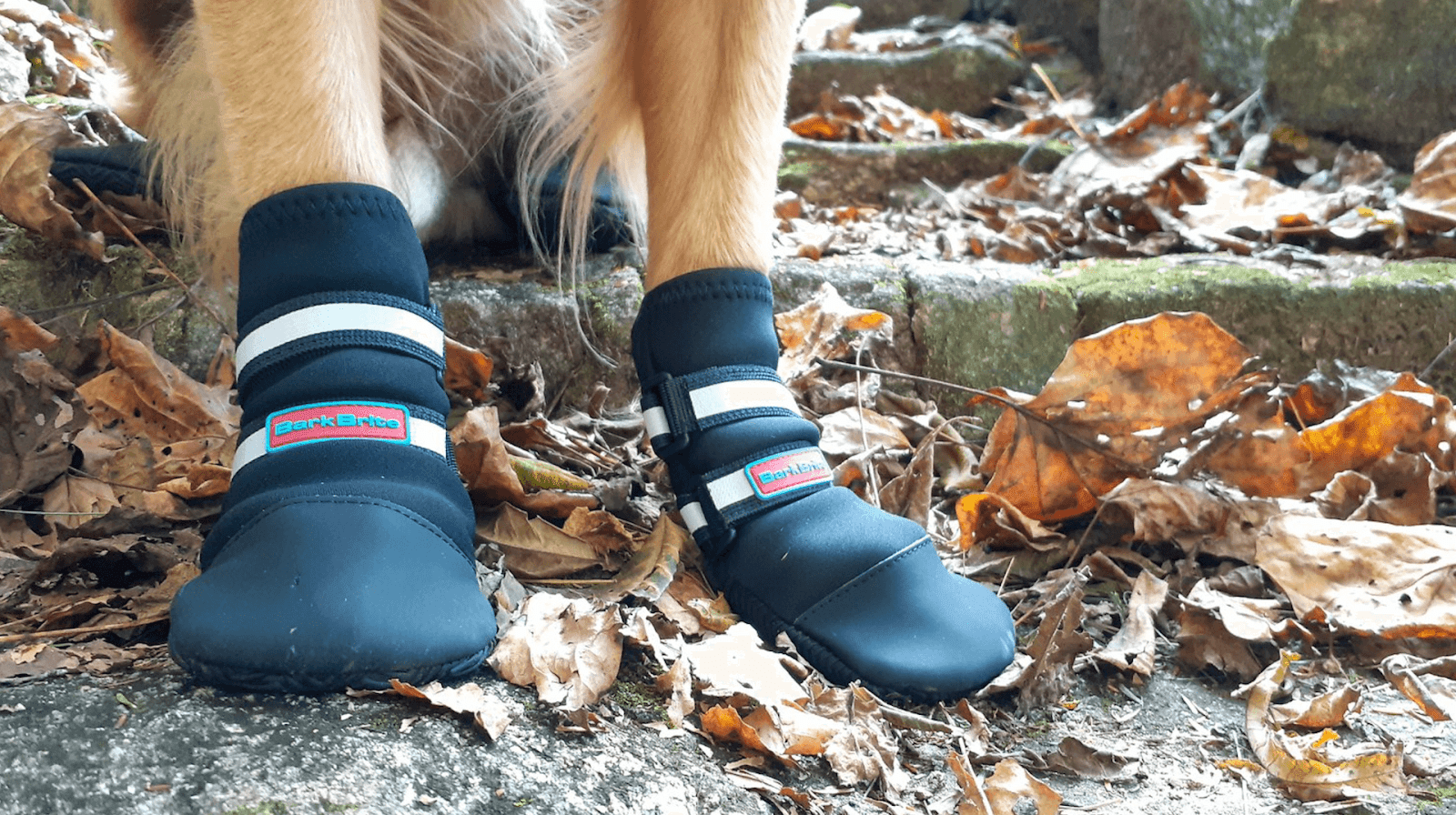 Bark Brite Neoprene Dog Boots